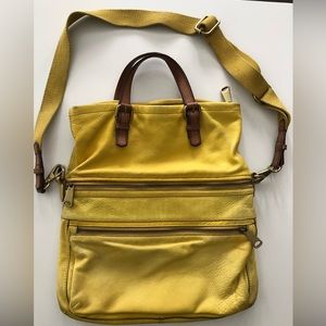 Fossil Xplorer tote